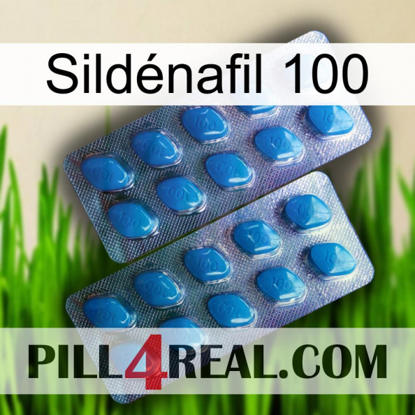 Sildénafil 100 viagra2